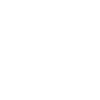 Domestika