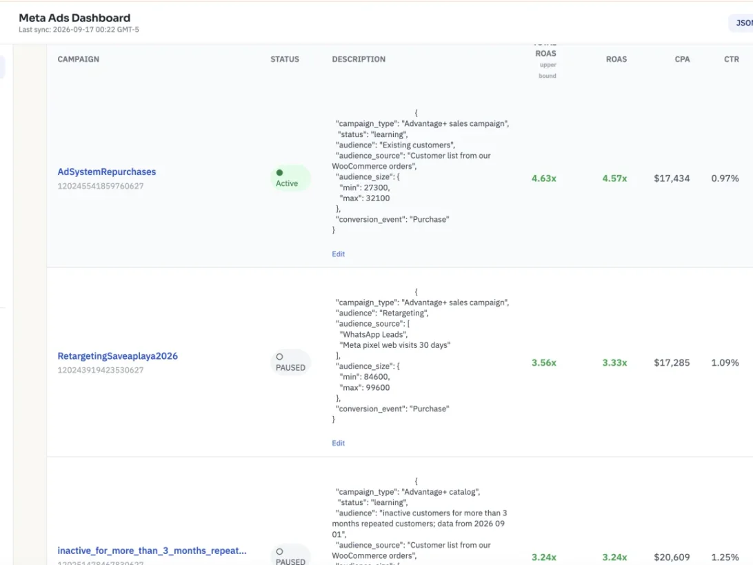 ROAS Link Meta Ads dashboard with ROAS per campaign